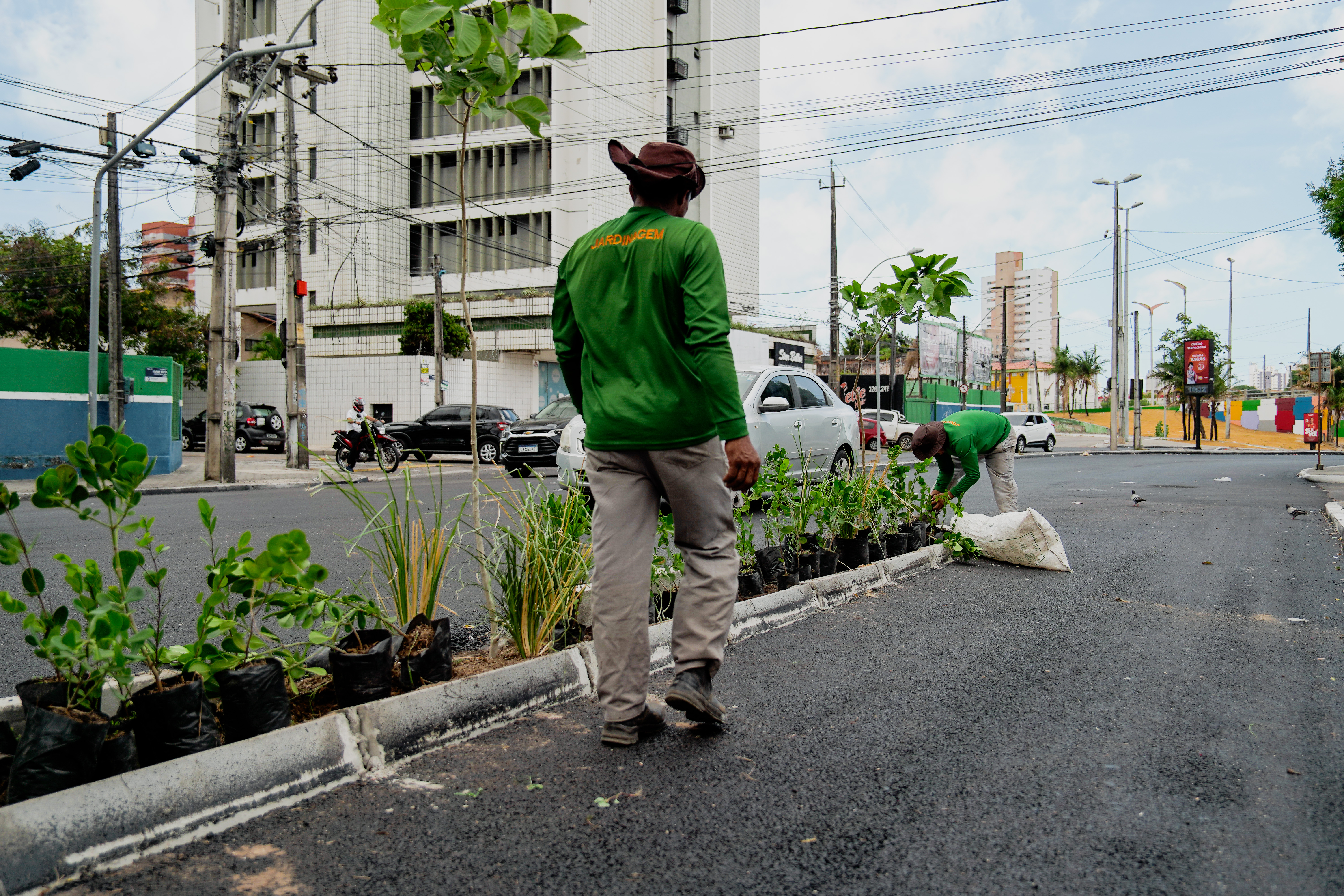 homem caminha ao lado de mudas de plantas que estão sendo plantadas